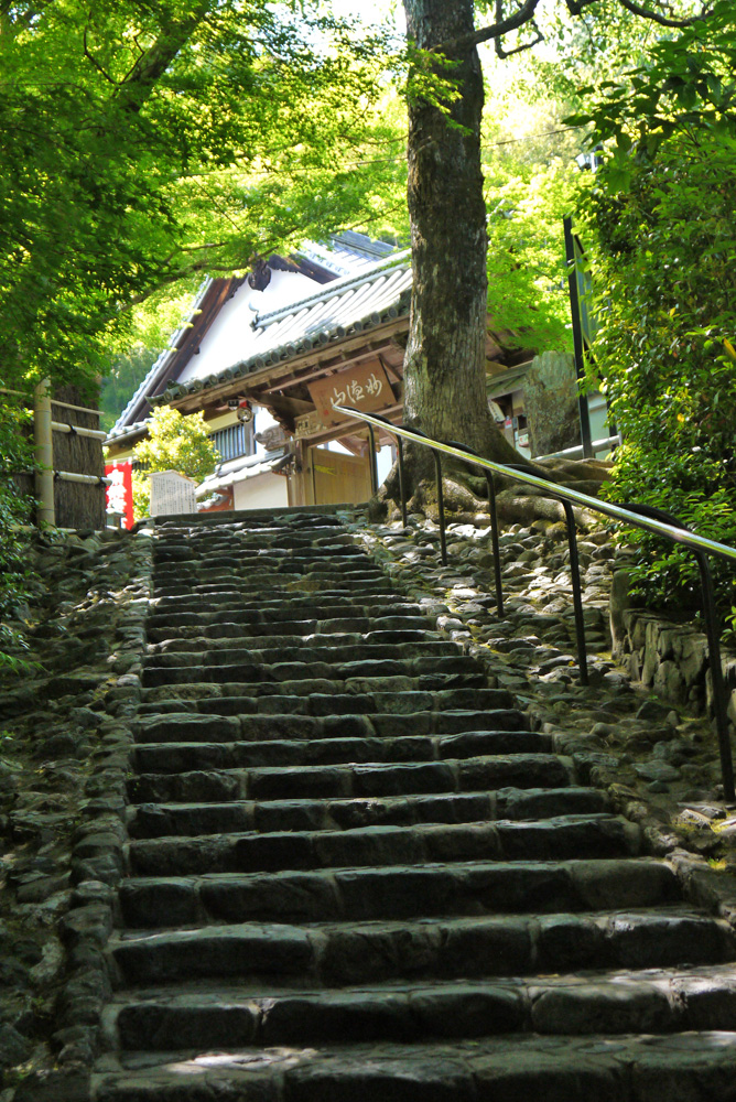 鈴虫寺