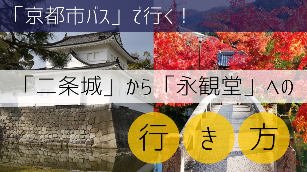 【京都市バス使用】 二条城から永観堂への行き方