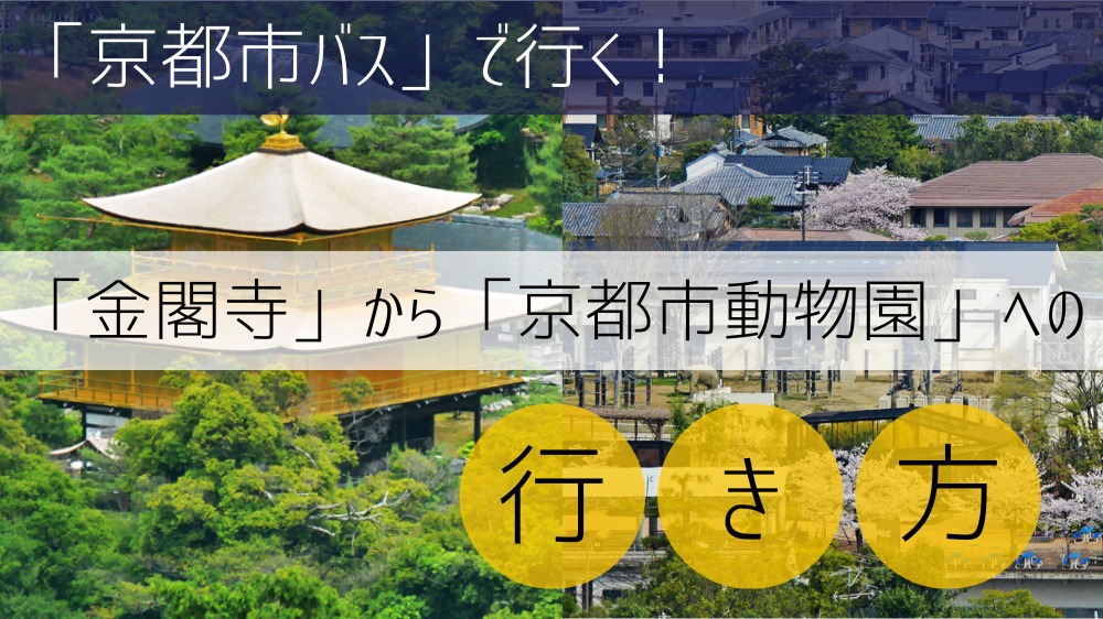 【京都市バス】 金閣寺から動物園への行き方