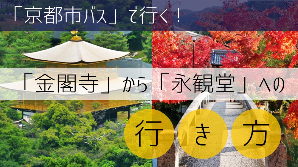 【京都市バス】 金閣寺から永観堂への行き方