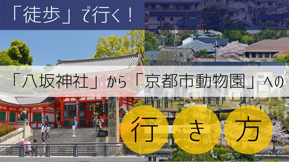 【徒歩】八坂神社から京都市動物園への行き方
