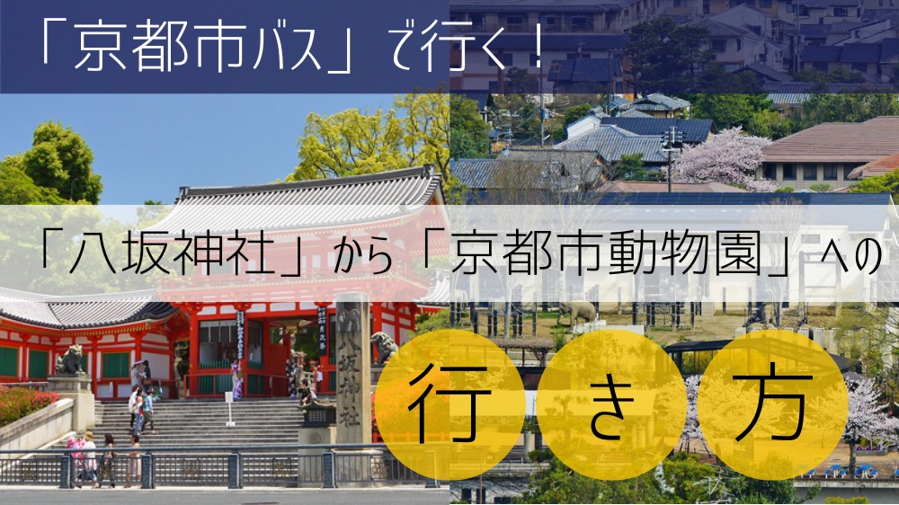 【京都市バス】 八坂神社から京都市動物園への行き方