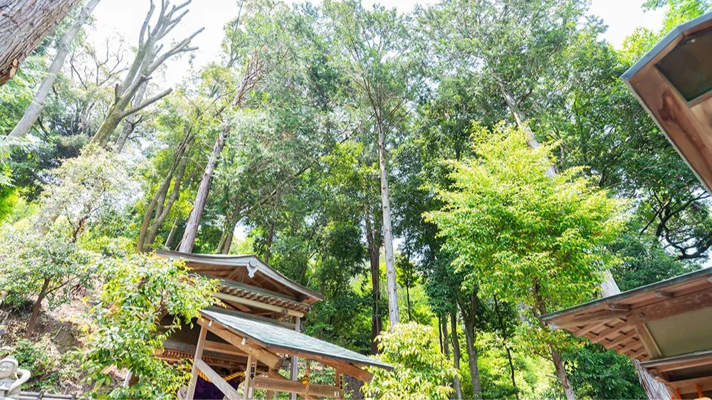 御髪献納｜自分の一部を捧げる神秘の儀式