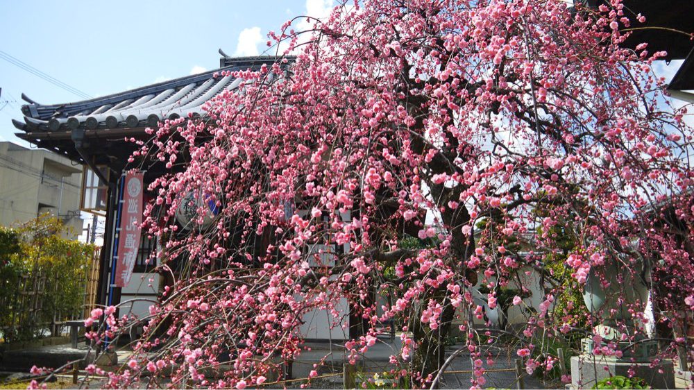 祐正寺に訪れるといただけるご利益