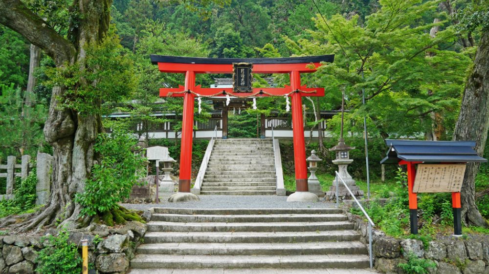 視覚と心でパワーを浴びる！境内の必見ポイント