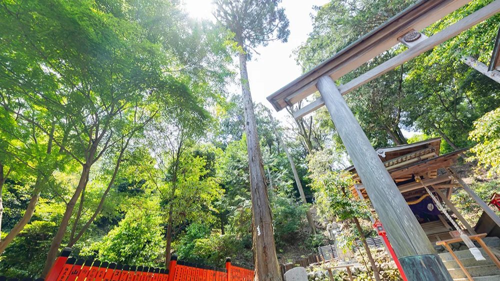髪の健康からプロの願いまで御髪神社で授かれるご利益